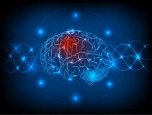 Workshop “Genetics and Biomarker in Parkinson´s Disease” am 10.-11. April 2025 in Tübingen