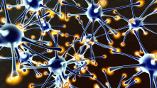 Kombinationstherapie von Alpha-Liponsäure und Pregabalin: Therapieoption bei neuropathischen Schmerzen?