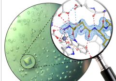 Alzheimer-Proteinkristalle